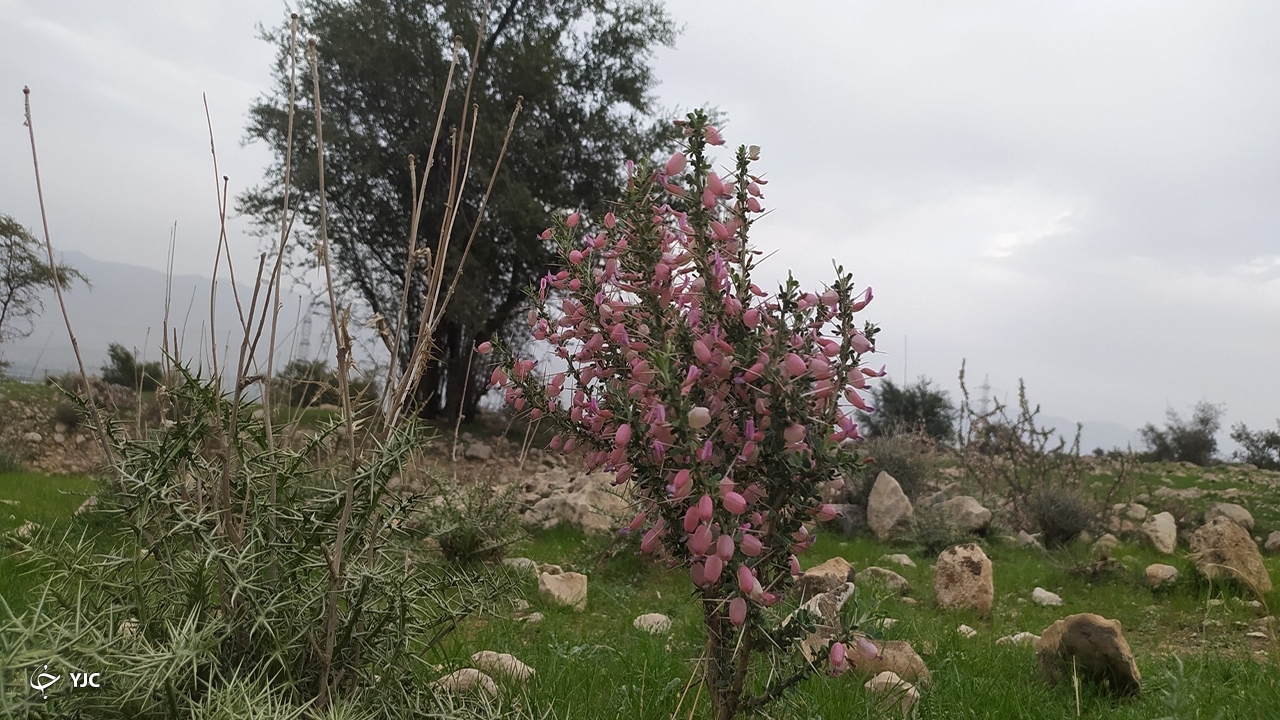 طبیعت روستای کاسکان 