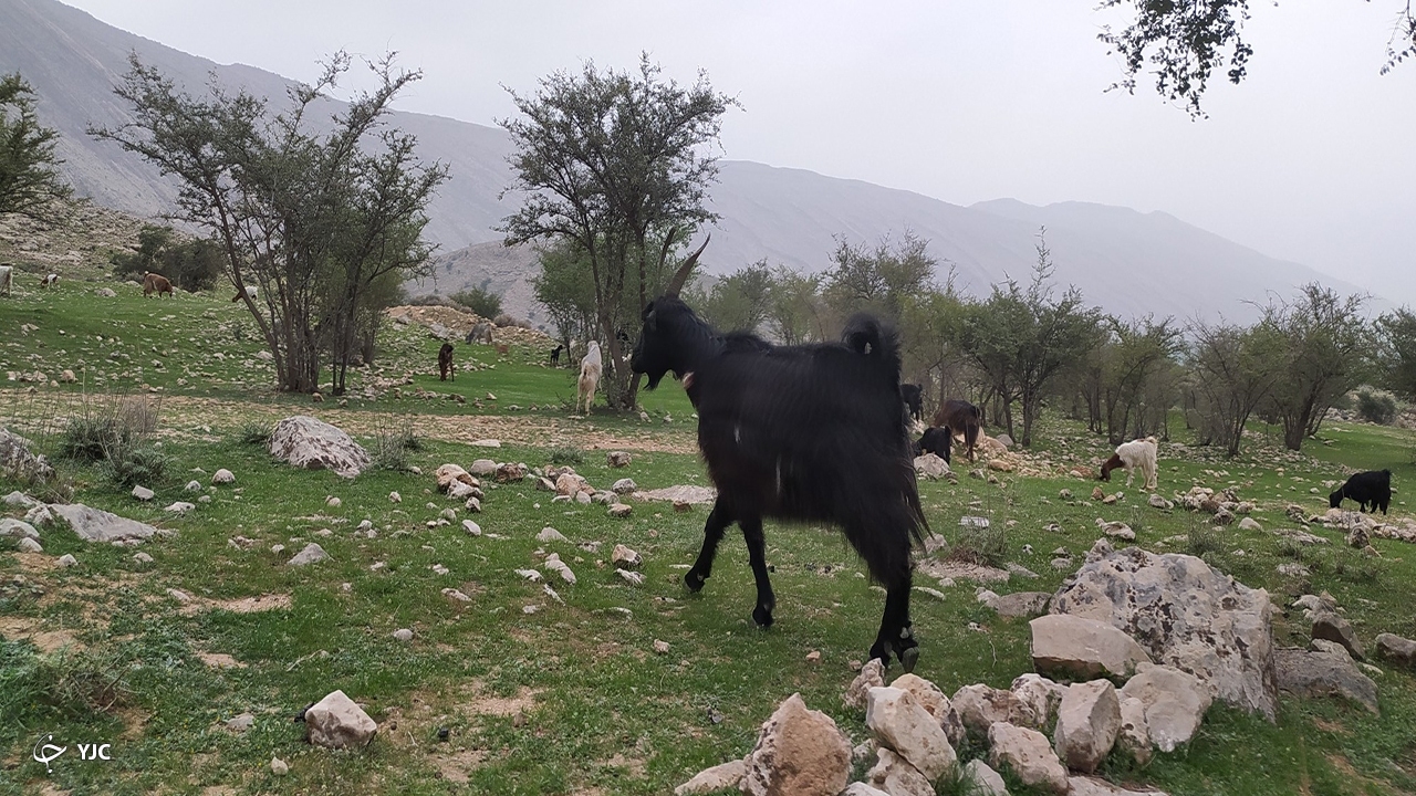روستای کاسکان 