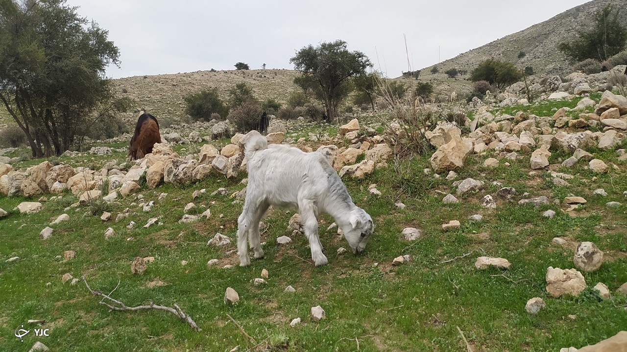طبیعت روستای کاسکان 