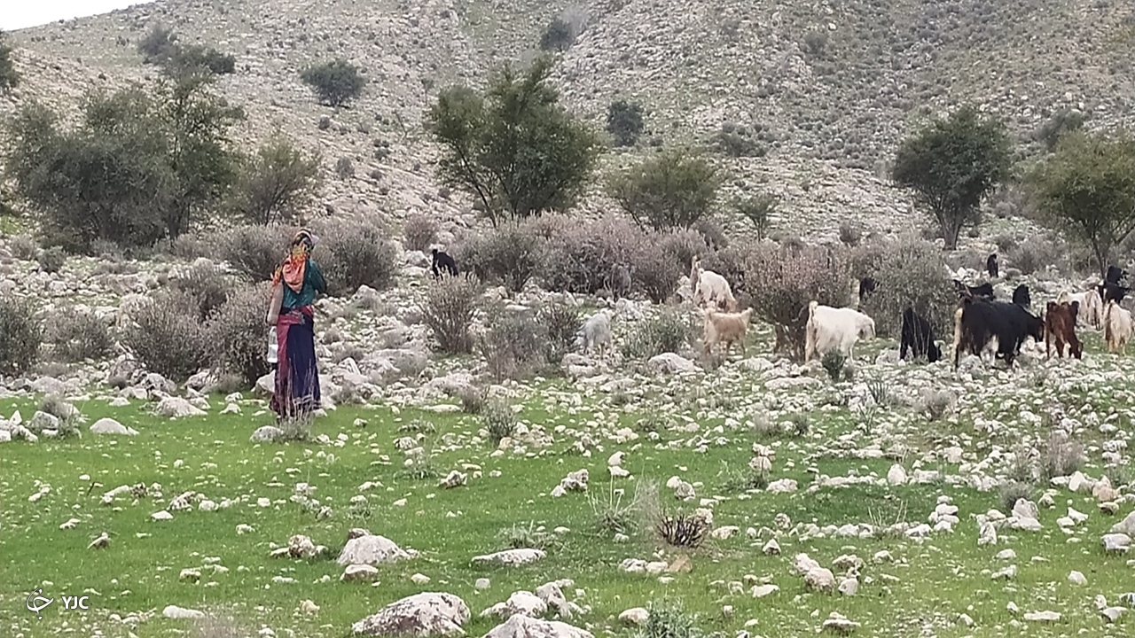  روستای کاسکان 