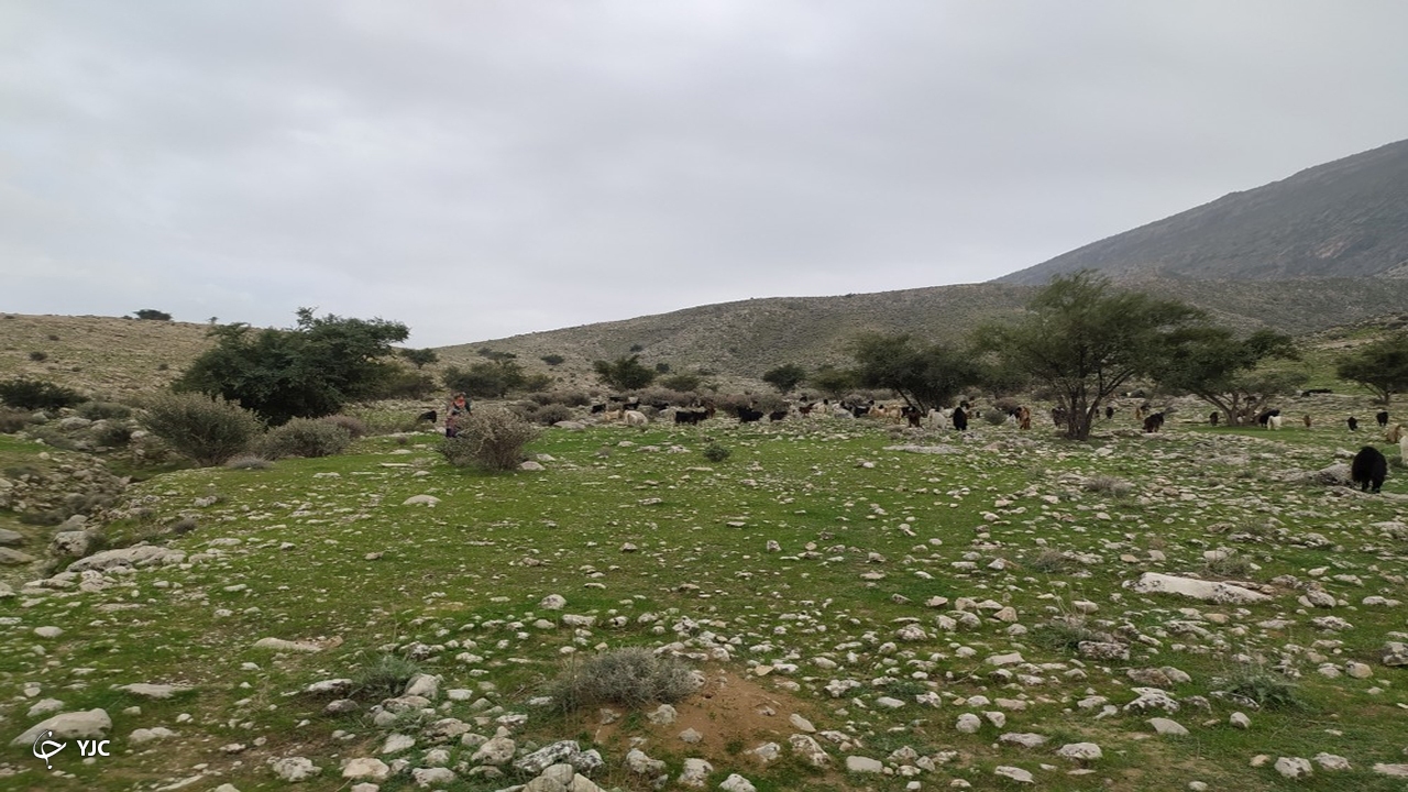 طبیعت روستای کاسکان