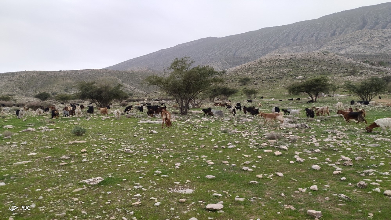 طبیعت روستای کاسکان در کازرون 