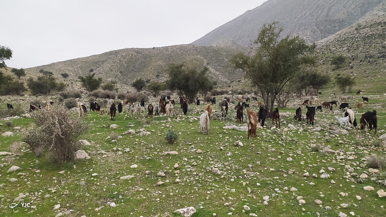 طبیعت روستای کاسکان 