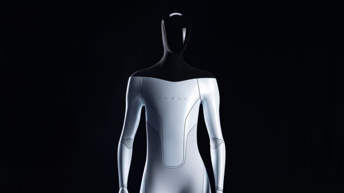 tesla bot