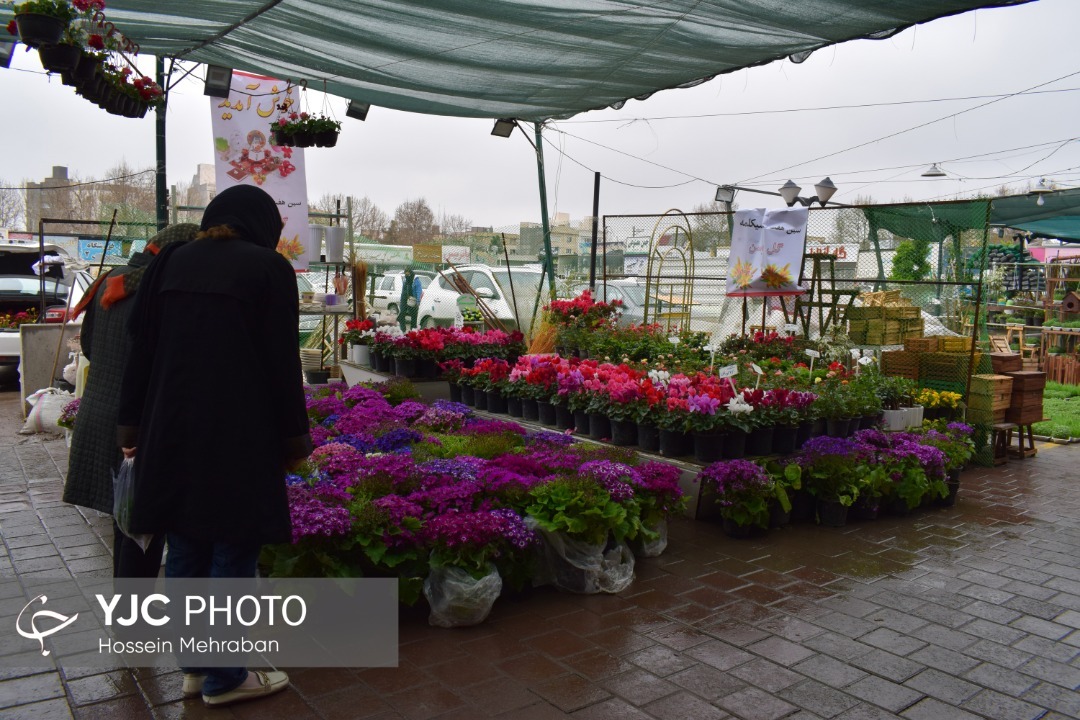 حال و هوای بهار در بازار گل مشهد+تصاویر