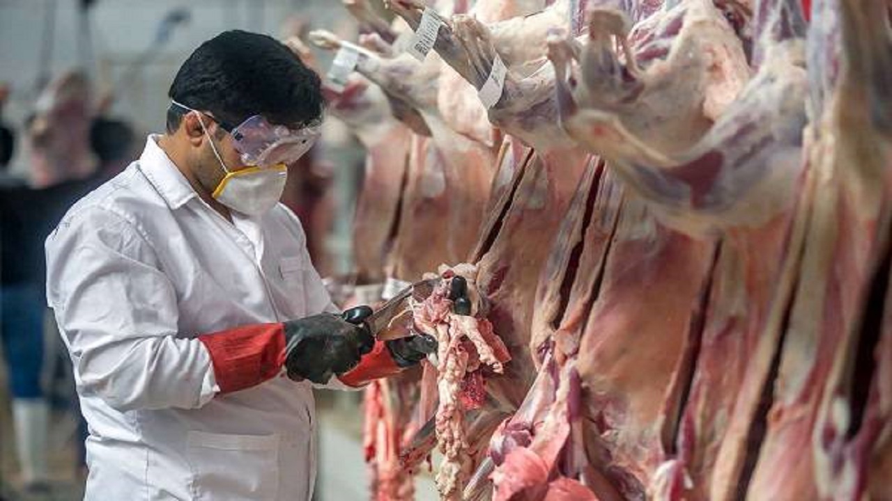 ۹۸۶ بازرسی بهداشتی در کوهبنان