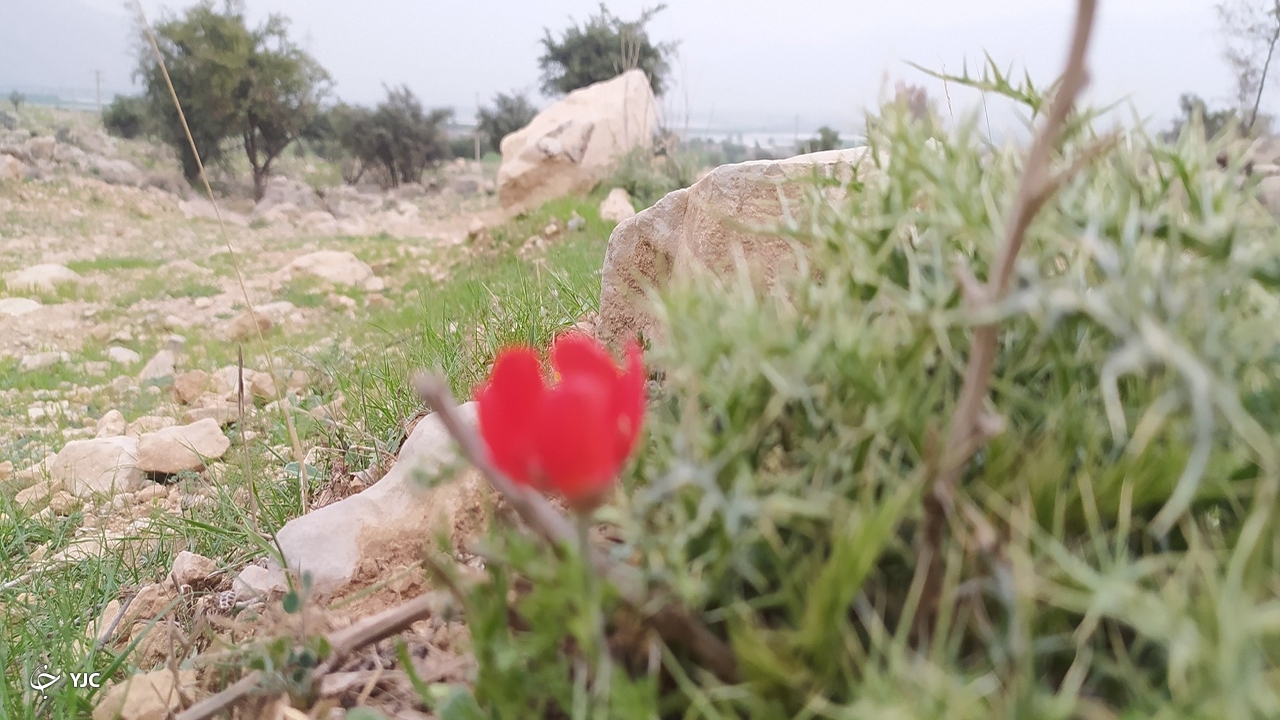 طبیعت روستای کاسکان