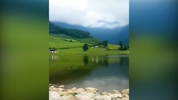 طبیعت بهاری سردشت + فیلم