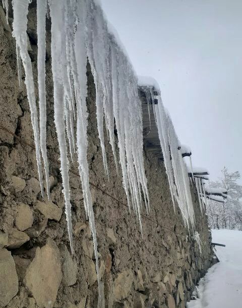سفید پوش شدن روستای اوماسلان در آخرین روزهای سال + تصاویر
