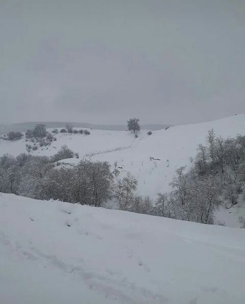 سفید پوش شدن روستای اوماسلان در آخرین روزهای سال + تصاویر