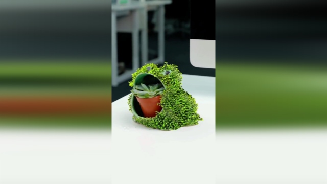 آموزش کاشت سبزه با دانه چیا + فیلم