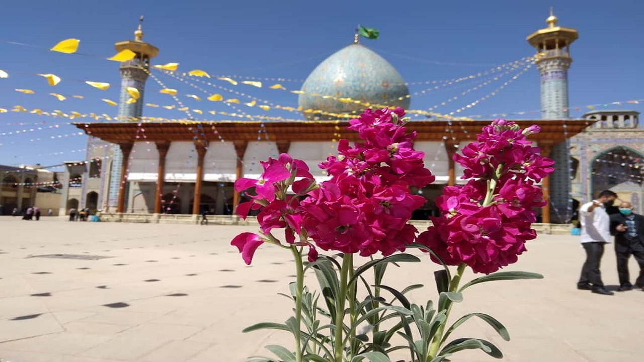 تشرف زائران به آرامگاه شاهچراغ در نیمه شعبان + فیلم