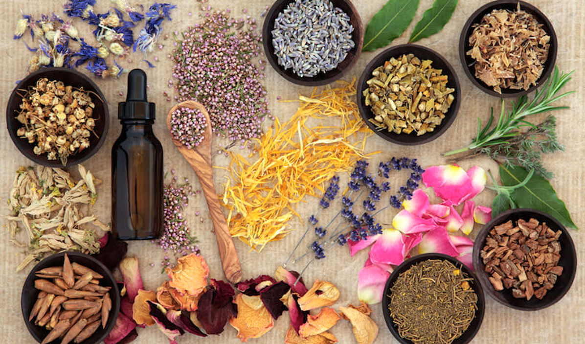 داروهای گیاهی