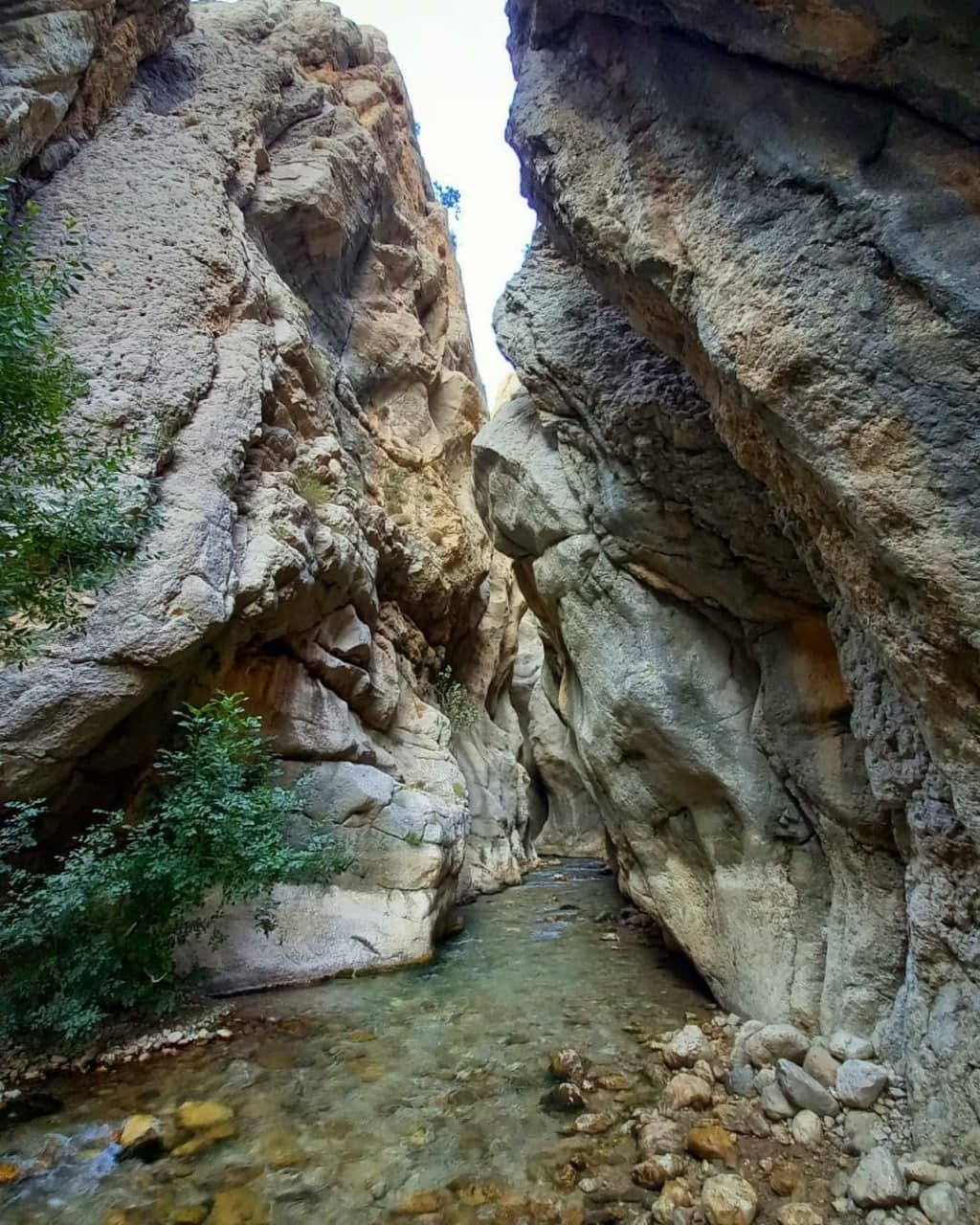 از