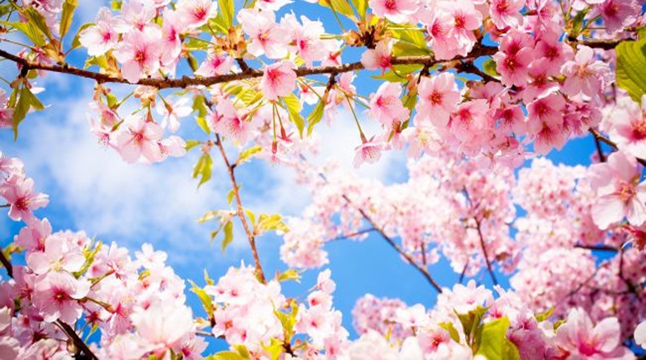 نوروز ۱۴۰۱ از نگاه نجومی
