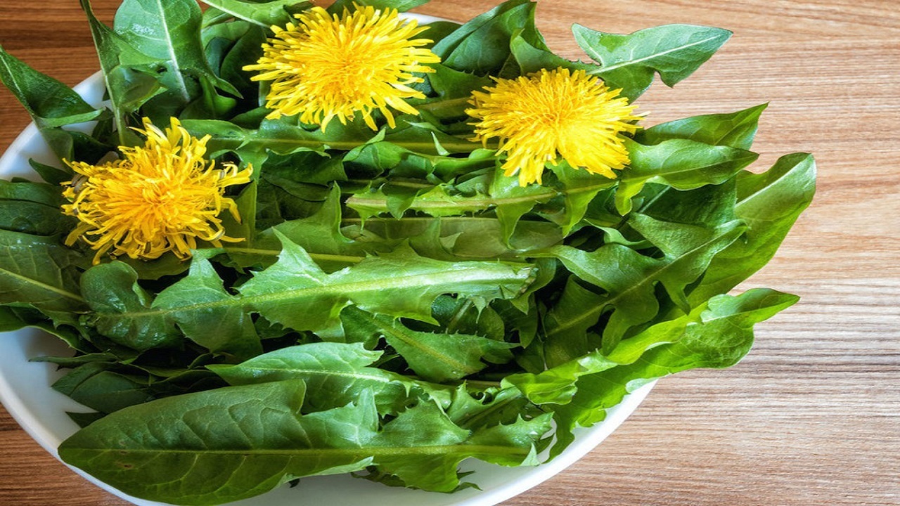 نوشیدنی معجزه گر طبیعی برای کبد چرب