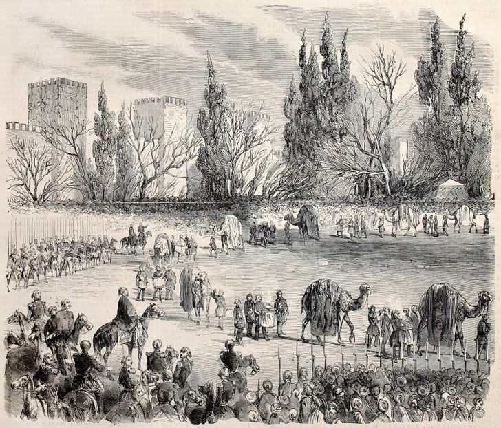 کشور گشایی مانسا موسی