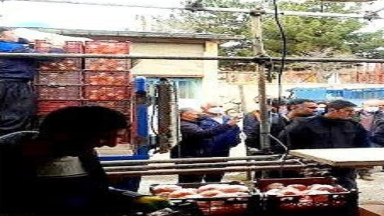 آغاز توزیع میوه شب عید در شهرستان بوئین زهرا