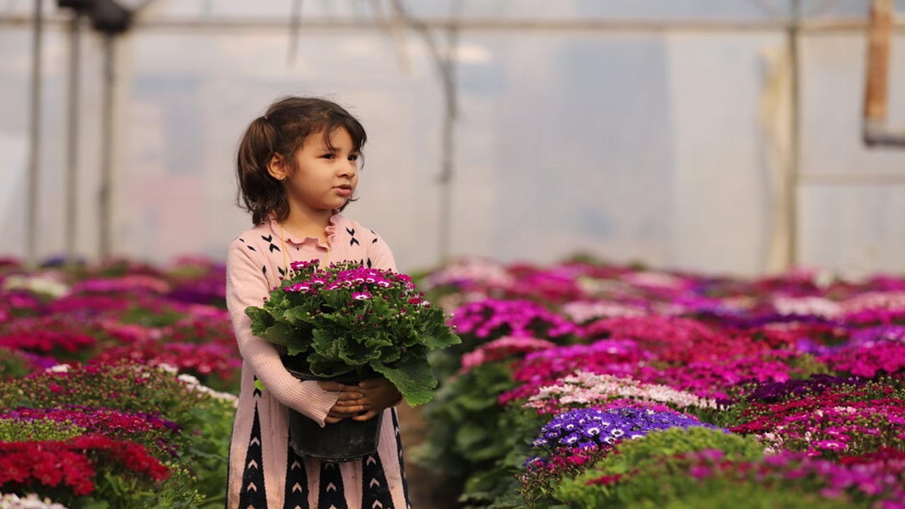 شب‌های اسفند کسی اینجا نمی‌خوابد!