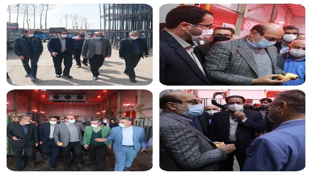 ۸۰ درصد میوه تنظیم بازار قزوین تا قبل از سال نو عرضه می‌شود