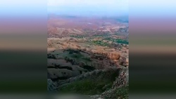 شکار پرنده توسط توله شیر + فیلم