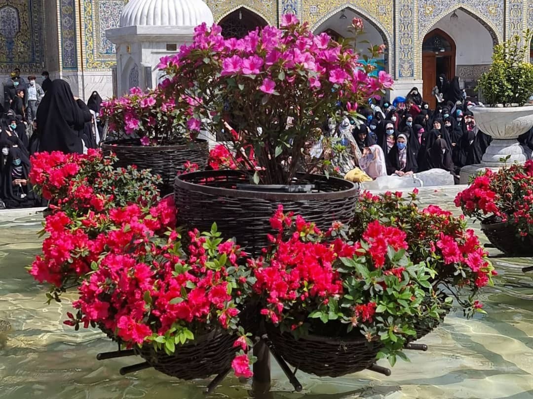 حرم مطهر رضوی بوی نوروز می دهد ️
