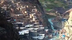 جوشش آب از تنه درخت توت ۱۵۰ ساله + فیلم