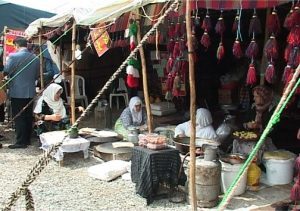 عشایر خراسان جنوبی به استقبال مسافران نوروزی می‌روند