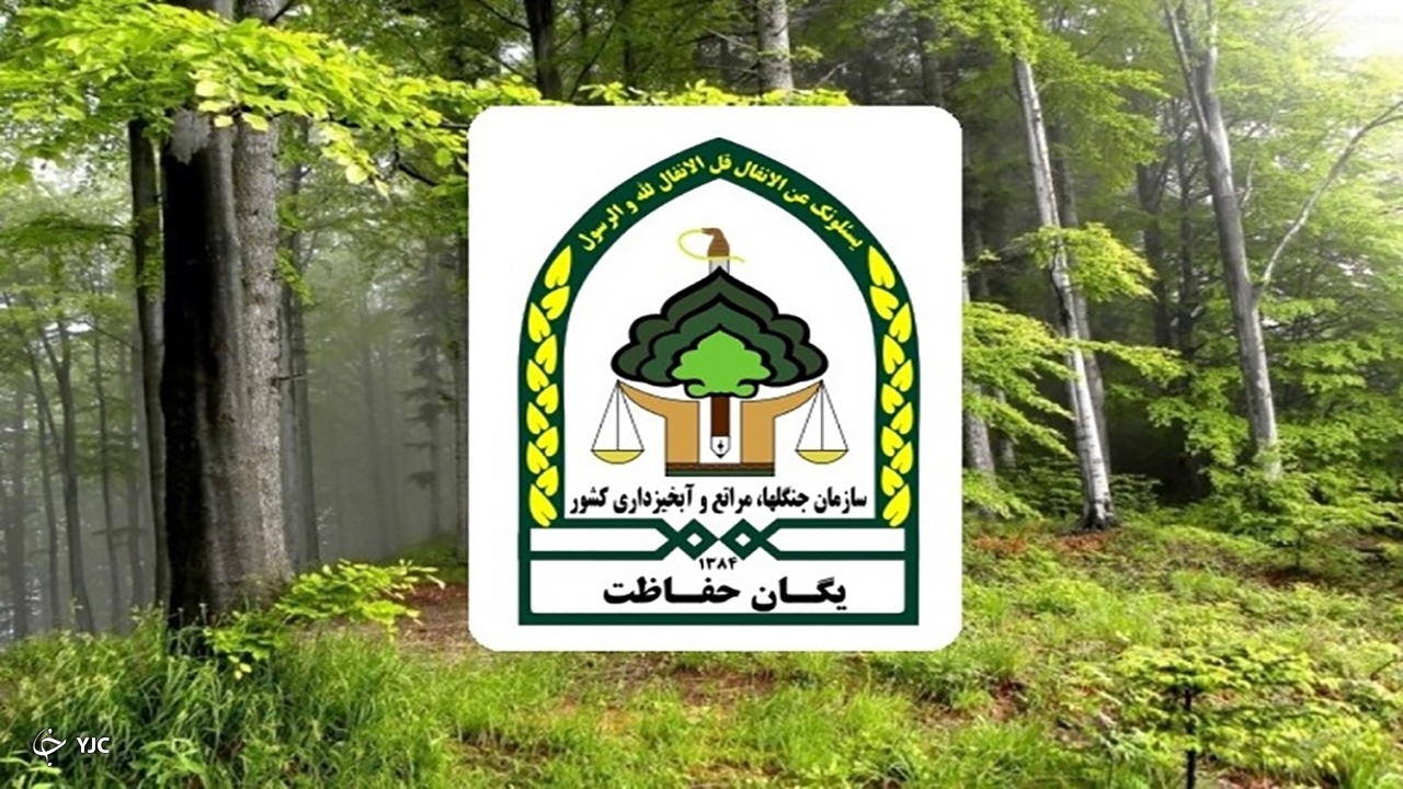 حفاظت شبانه‌روزی از منابع طبیعی مهاباد در آستانه بهار