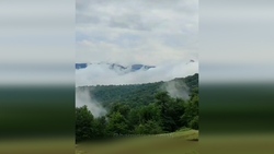 قطار گردشگری سوادکوه + فیلم