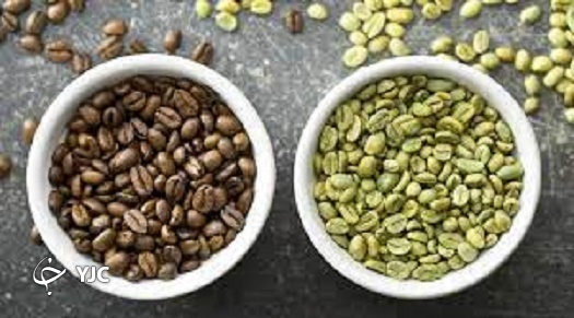 از فواید فراوان قهوه سبز چه میدانید؟ از فواید فراوان قهوه سبز چه میدانید؟