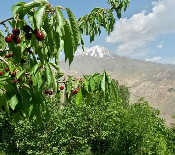دهبار، دهکده رنگی مشهد
