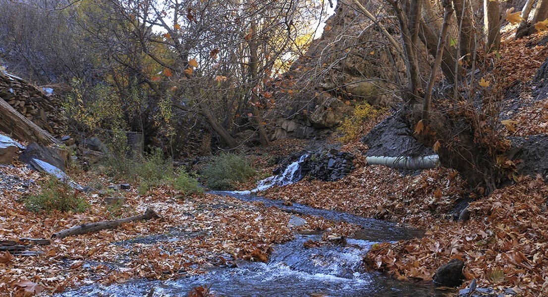 دهبار، دهکده رنگی مشهد