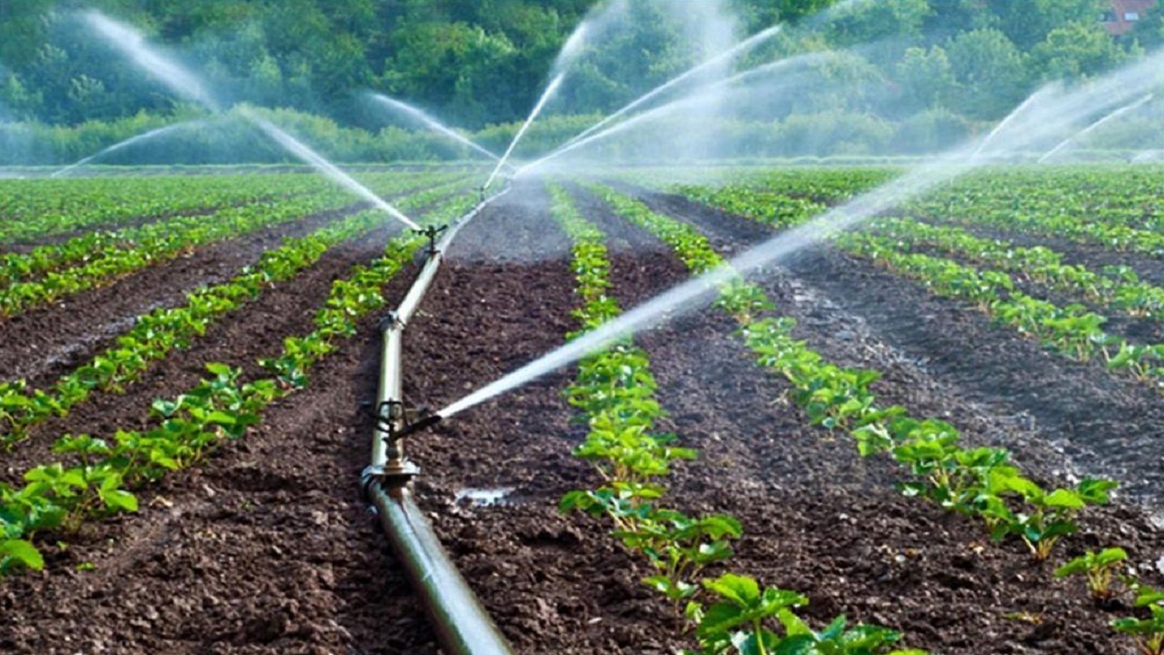 چهارمحال و بختیاری دومین استان پیشرو در اجرای سامانه‌های آبیاری نوین