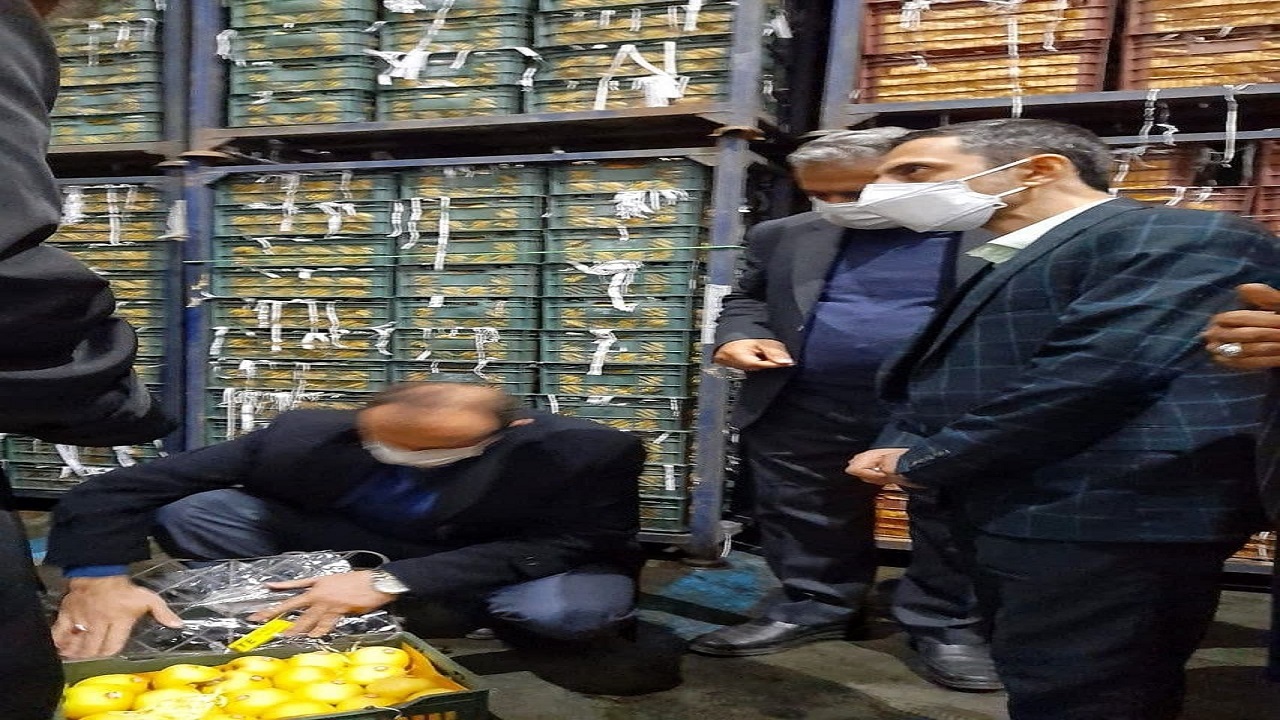 عرضه میوه شب عید از ۲۰ اسفند در استان قزوین