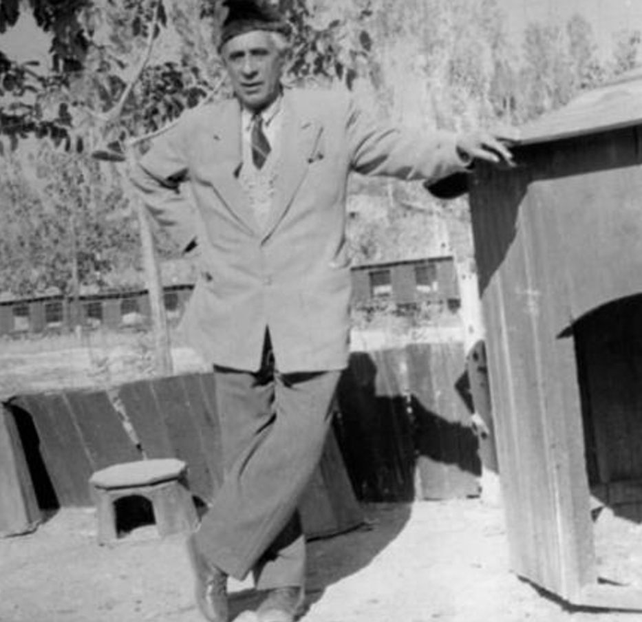 سید ضیاء&rlm;الدین طباطبایی