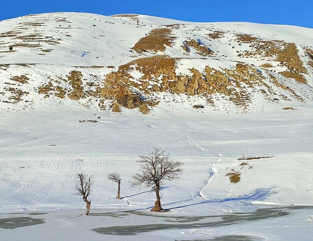 طبیعت زمستانی کوهپر در لنز دوربین شهروند خبرنگار