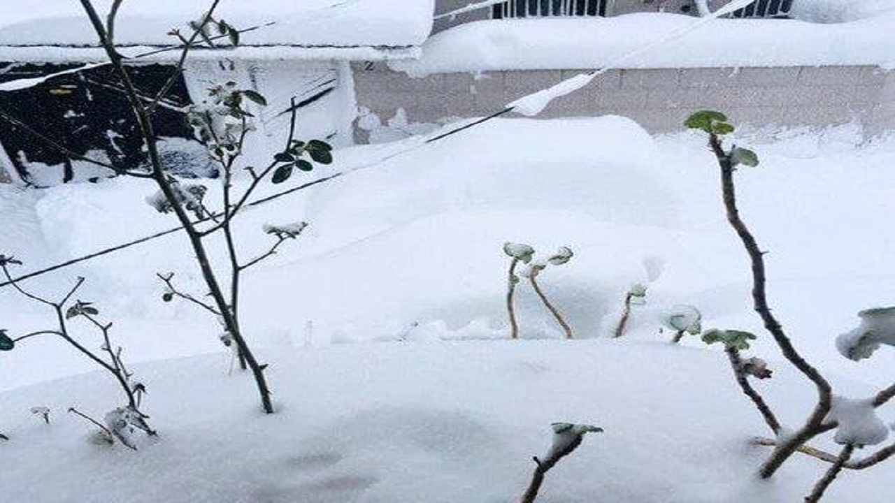۲ روستای مهدیشهر رکورددار بیشترین بارش برف در استان سمنان شدند