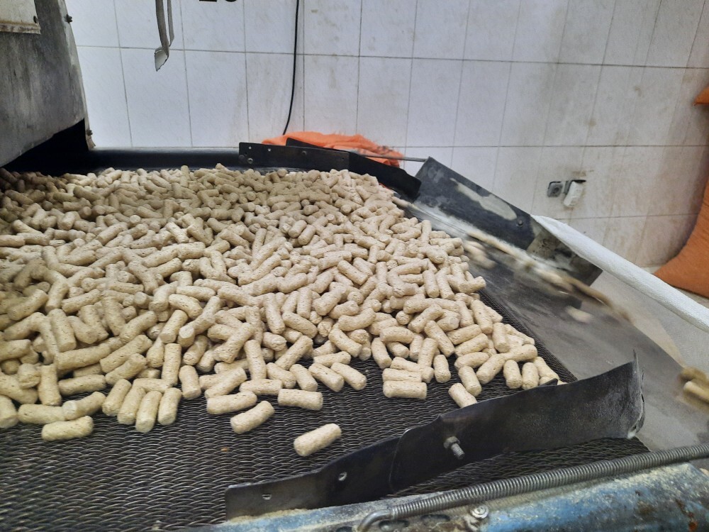 کودکان از این پس با خیال راحت اسنک بخورند