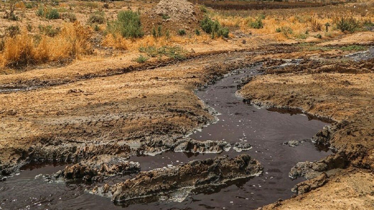 قضایی شدن پرونده زیست محیطی کشتارگاه کوهین