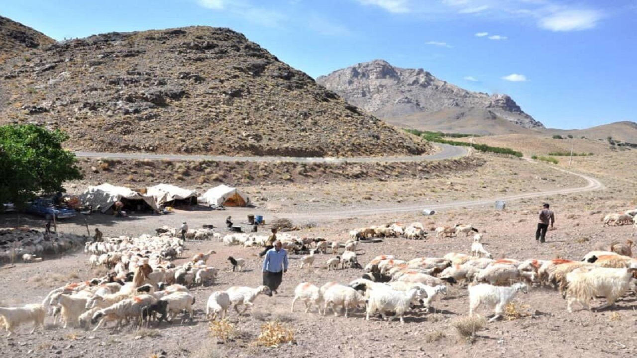 خشکسالی‌های مداوم زندگی عشایر شاهرود را سخت کرد