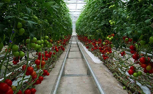 وقتی فناوری جای خالی آب را پر می کند