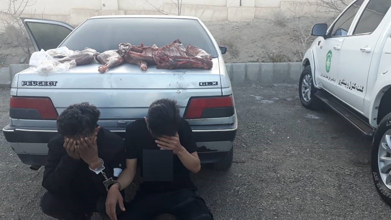عاملان شکار و انتقال گوشت حیوانات وحشی به مقصد نرسیدند