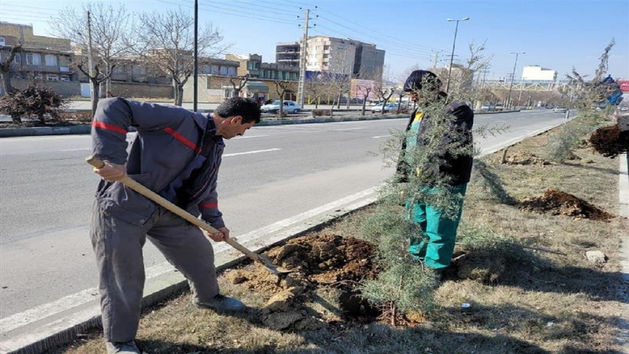 کاشت نهال در سطح شهر ارومیه آغاز شد