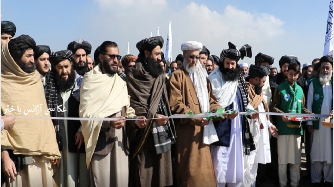 کمپاین نهال شانی آغاز شد