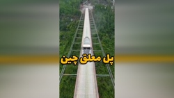 غذا پختن در دمای منفی ۵۰ درجه + فیلم