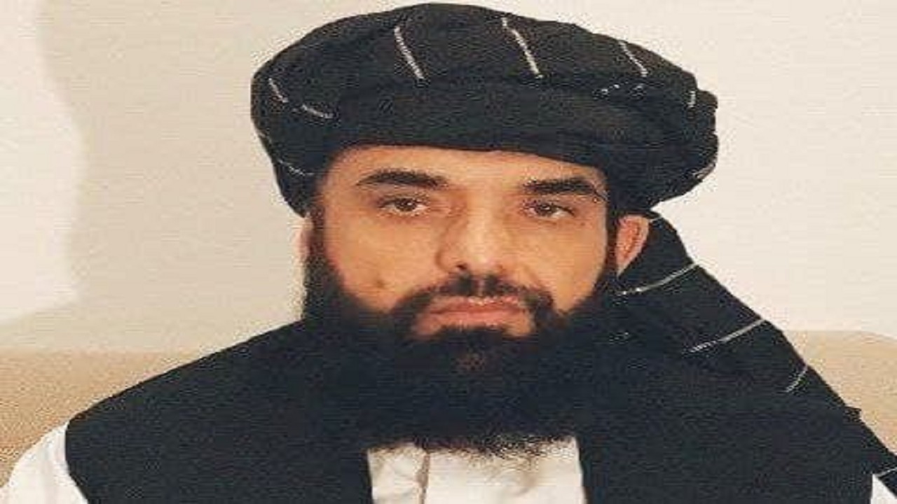 سهیل شاهین به عنوان رئیس دفتر سیاسی طالبان در قطر منصوب شد