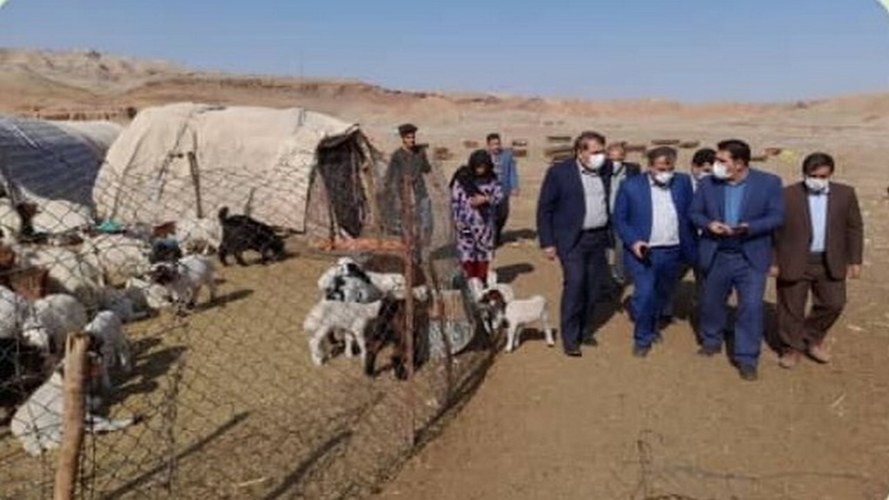 بازدید فرماندار سیروان و مدیرکل امور عشایری استان ایلام از مناطق قشلاقی