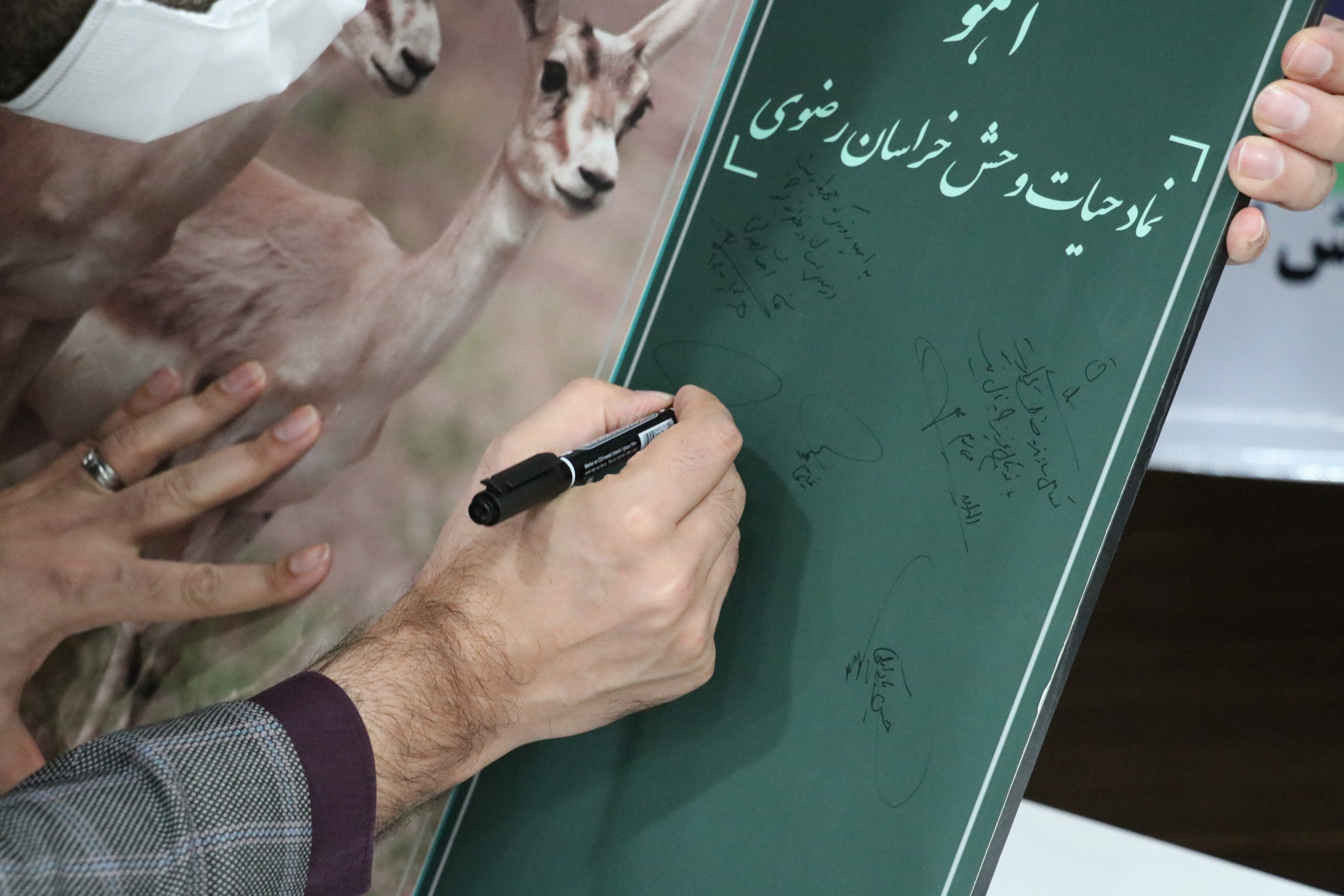 آیین نکوداشت مربیان برتر سال در خراسان رضوی برگزار شد