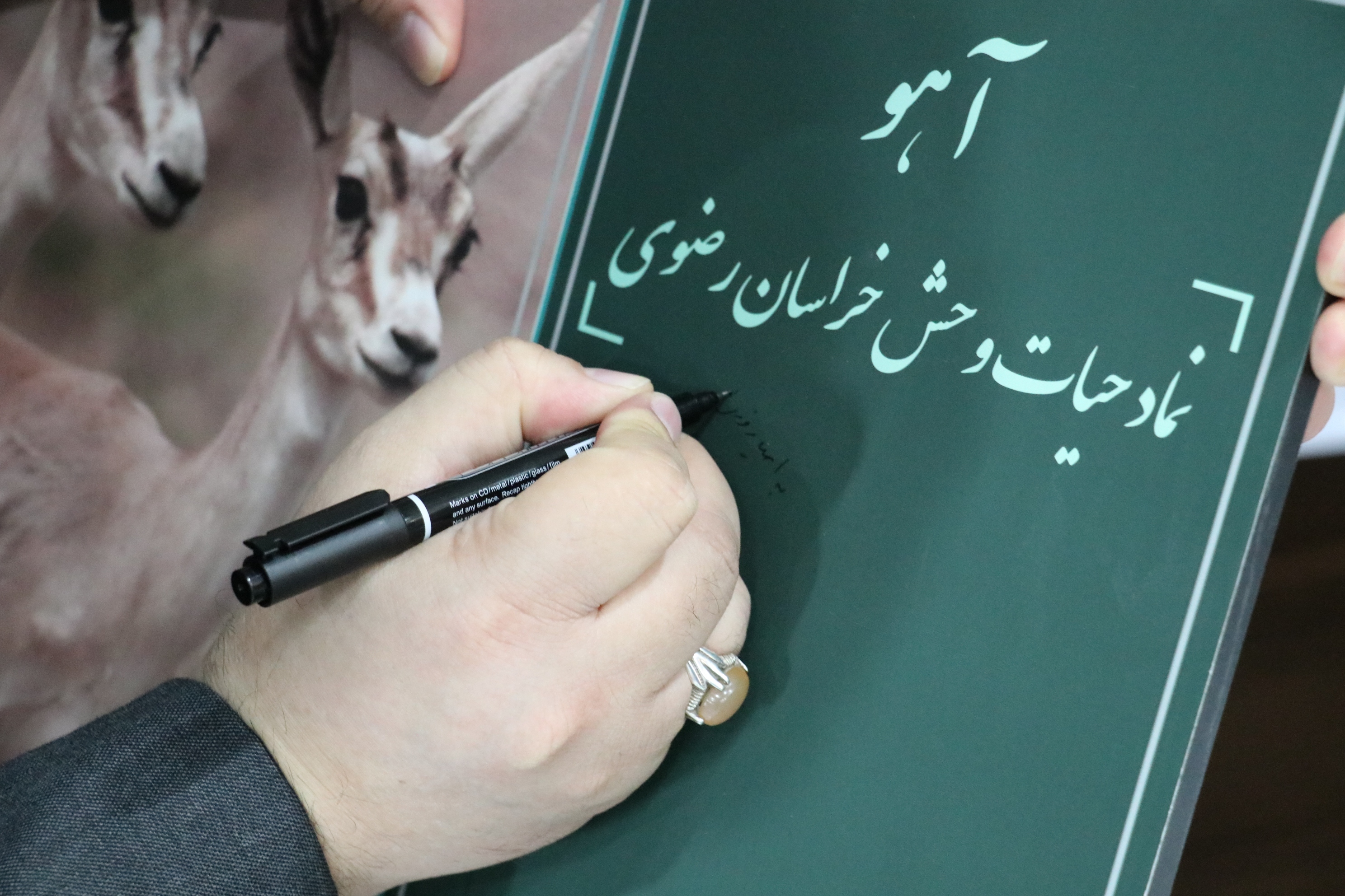 آیین نکوداشت مربیان برتر سال در خراسان رضوی برگزار شد
